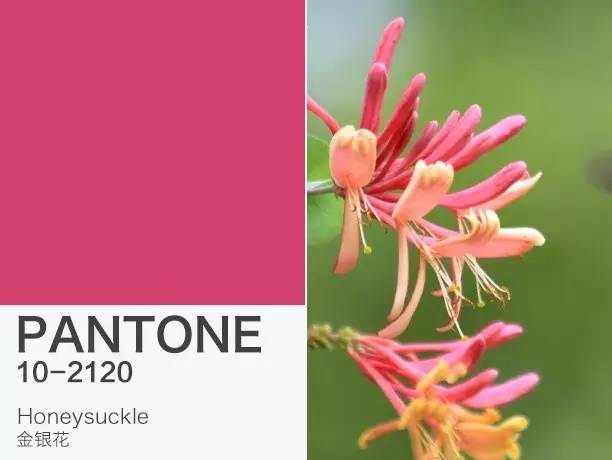 潘通色是彩虹色吗,潘通色卡今年流行色