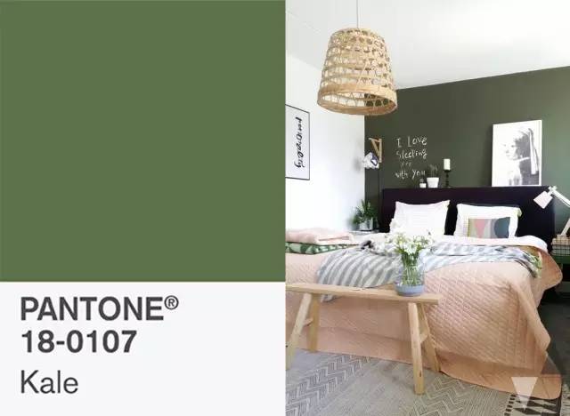 pantone公布2024年度代表色,pantone最新流行色紫外光