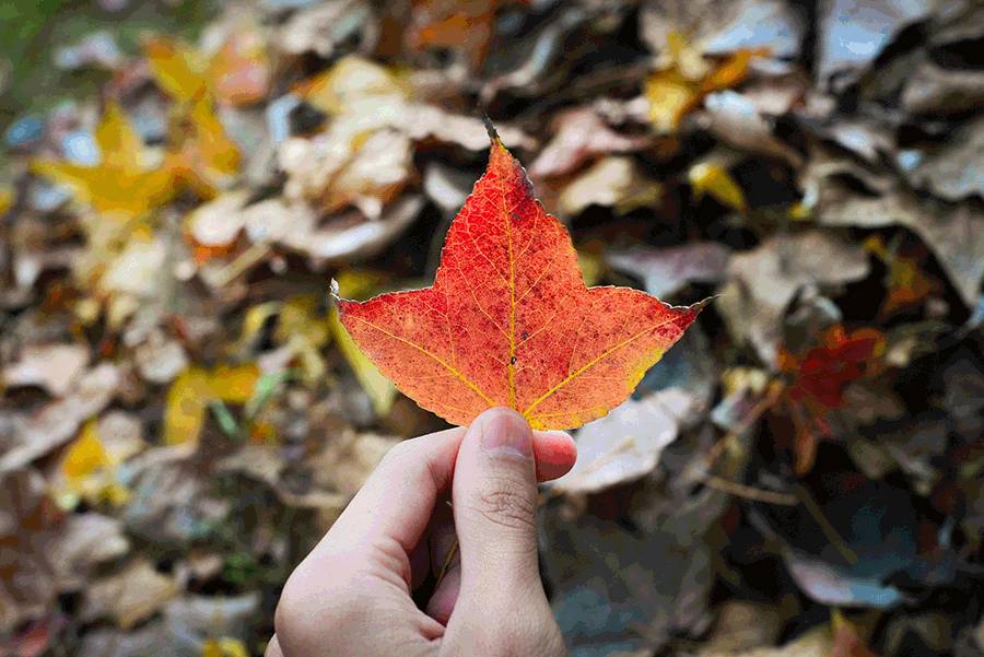 这几天千万不要来北师珠！