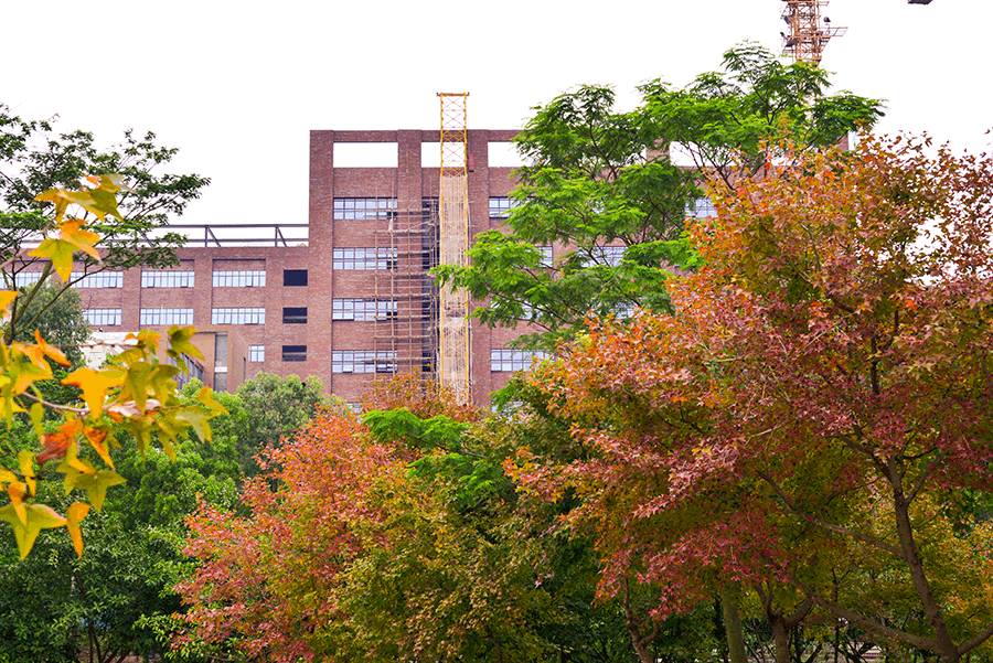 这几天千万不要来北师珠！