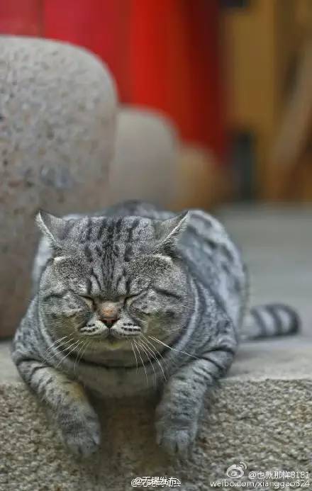 有一段安静的时光,有一段时光沉淀在记忆深处