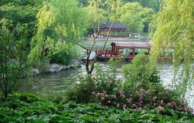 东莞周末好去处植物园,东莞适合聚餐游玩的地方