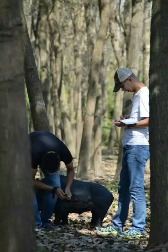 狩猎型现代复合弓,狩猎复合弓有必要用平衡杆吗