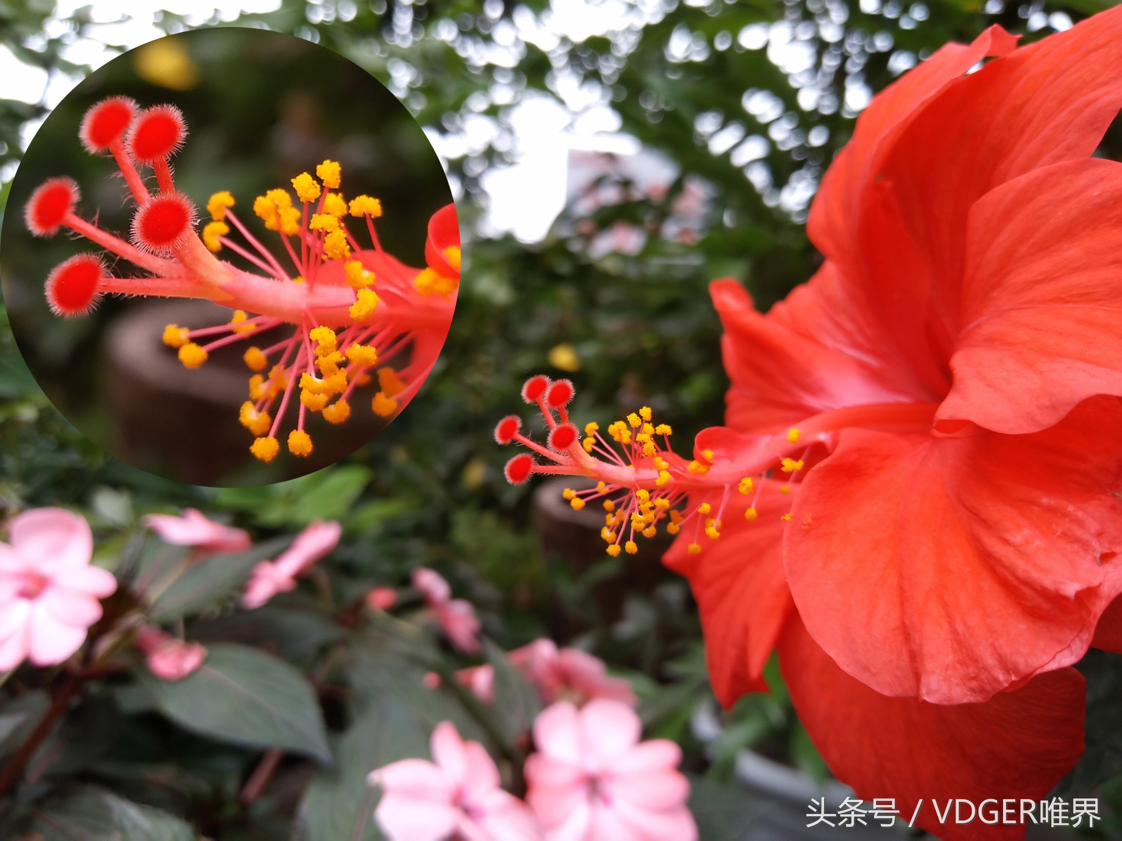 努比亚z11minis怎么样,努比亚z11mini