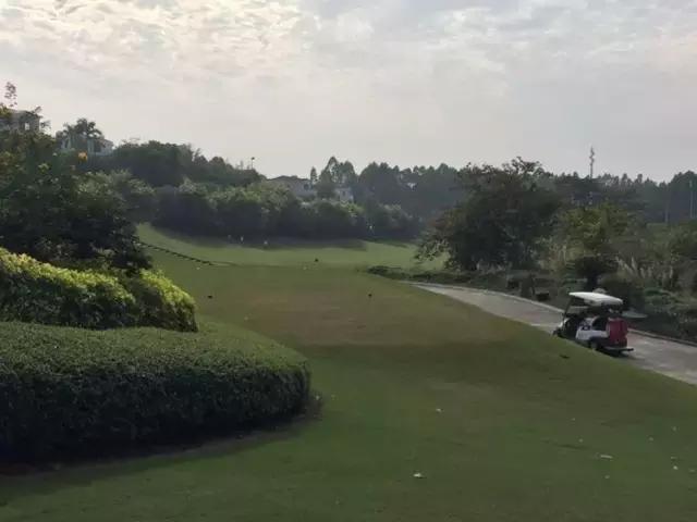 世界冠军专程助阵,为参赛球队提供总决赛球场最全攻略