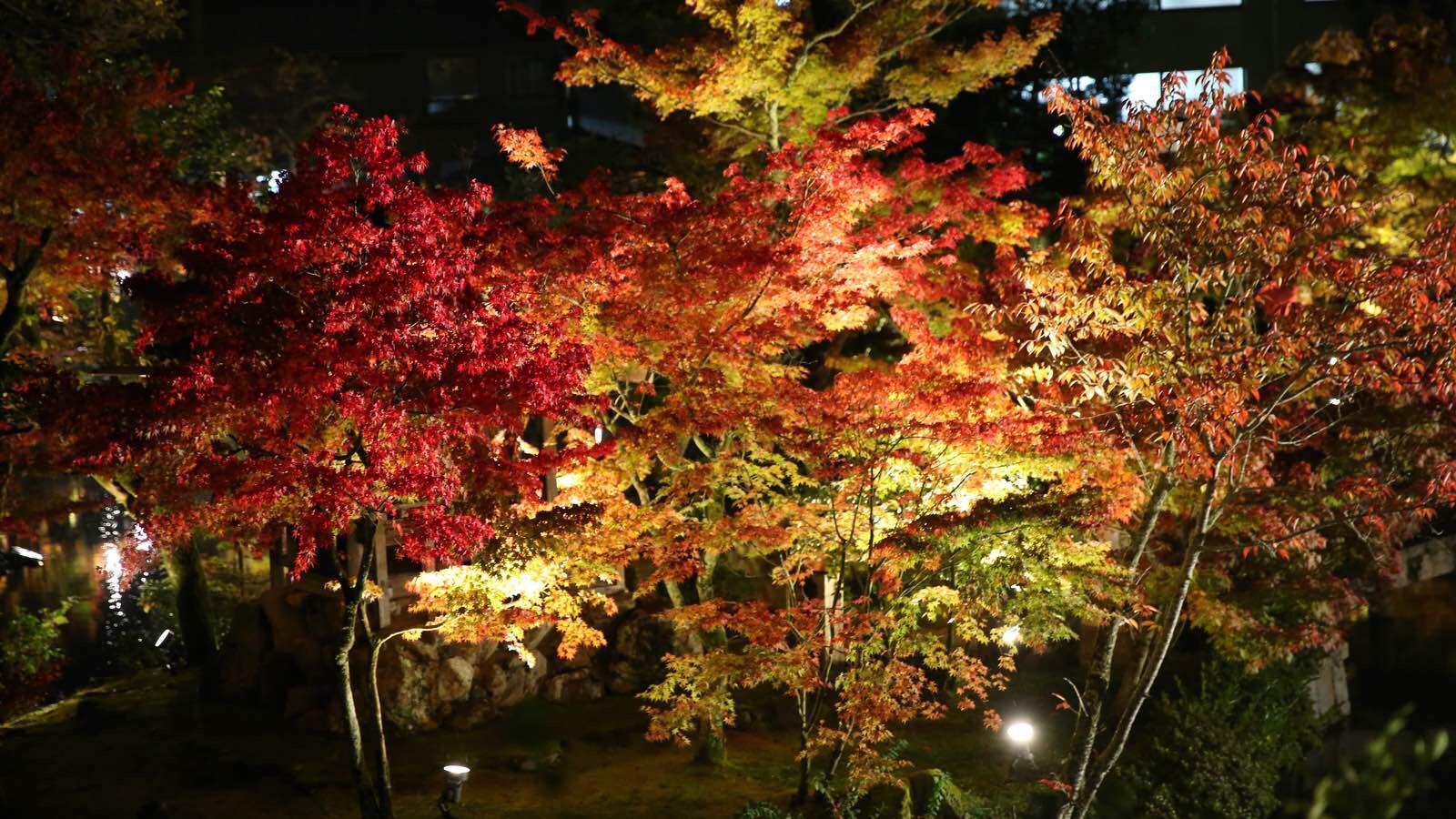 关西温泉六日游,大阪关西机场温泉