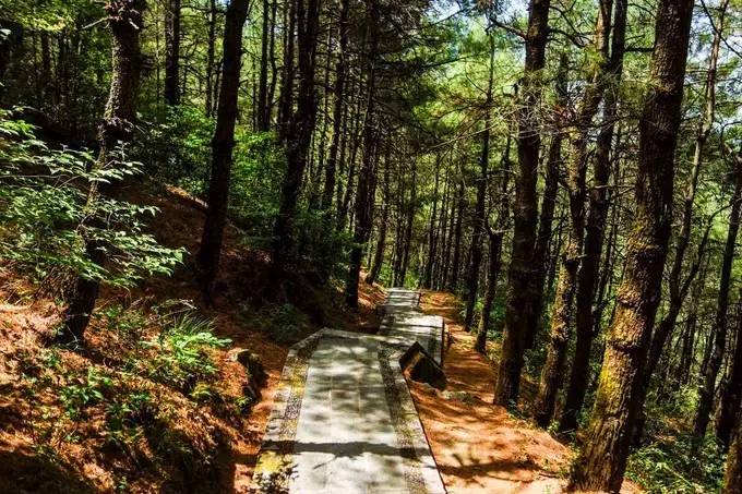 一种辽阔苍远的感觉——大理苍山