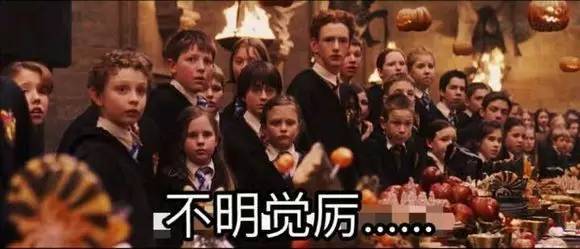 神奇动物中的咒语都有哪些,神奇动物50个常识