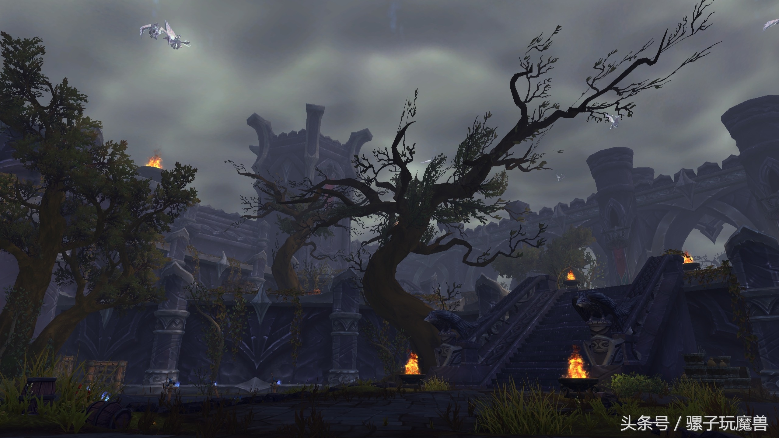 魔兽世界军团再临术士最好种族,魔兽世界军团再临有意思的任务