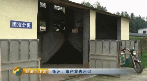 80后养猪致富经,养猪致富案例视频