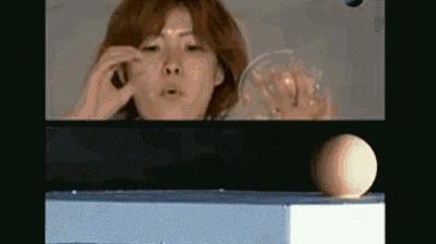 斑马测评视频,斑马测评