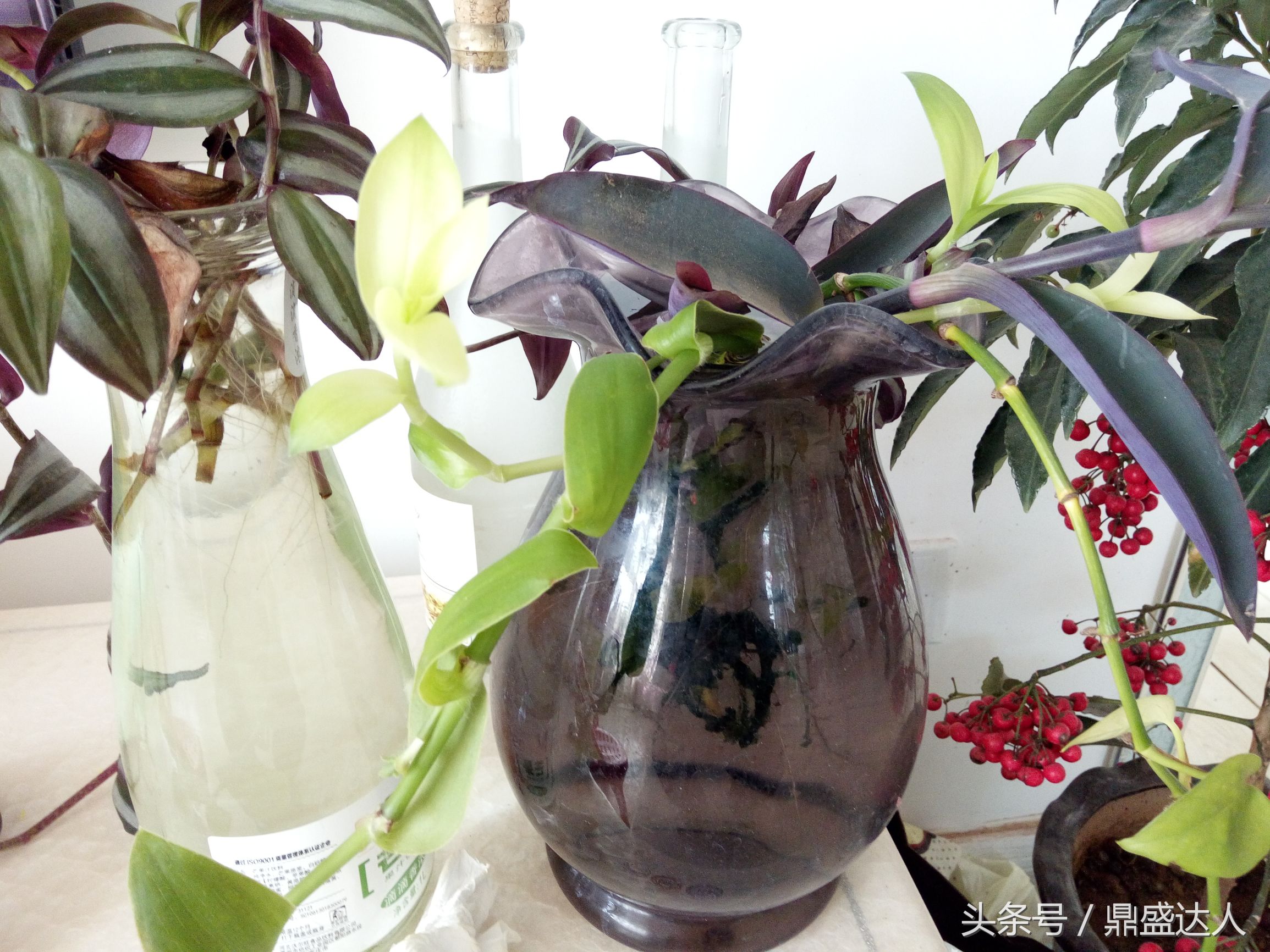 北方的冬天歌曲,北方的冬天原唱