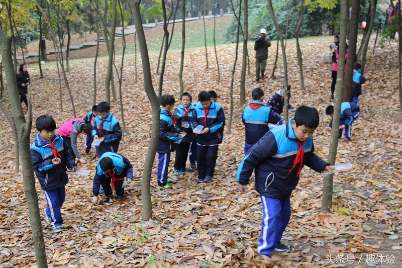 把课堂搬到森林里！去森林趣体验！