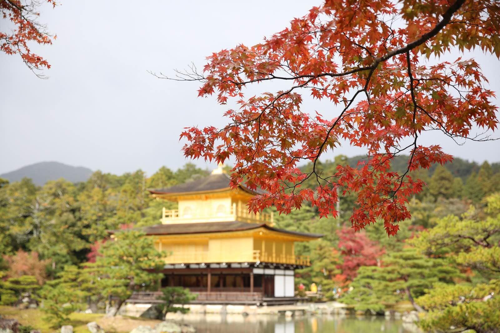 关西温泉六日游,大阪关西机场温泉