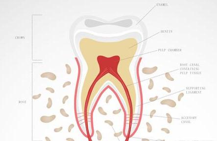 孕期不适怎么缓解,孕期各种身体不适的缓解方法