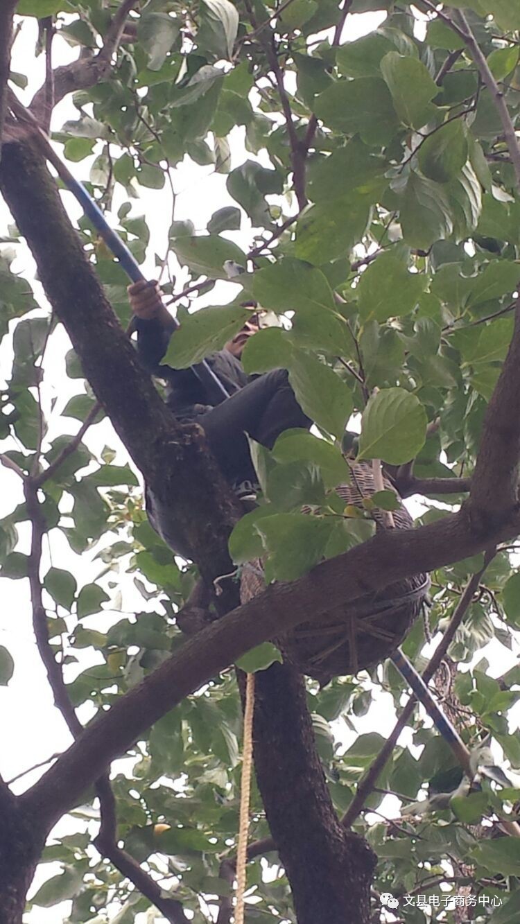 文县贾昌一个“胖子”变”瘦子“的过程