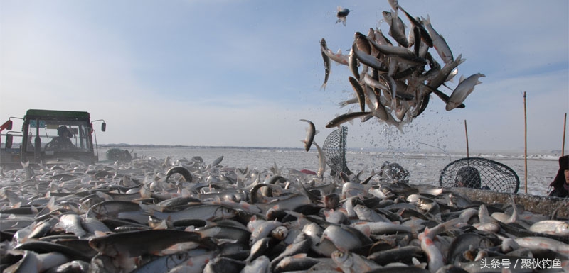 克什克腾达里湖,赤峰市克什克腾达里湖