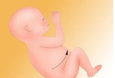 b超单怎么看单双,如何看懂b超单图片