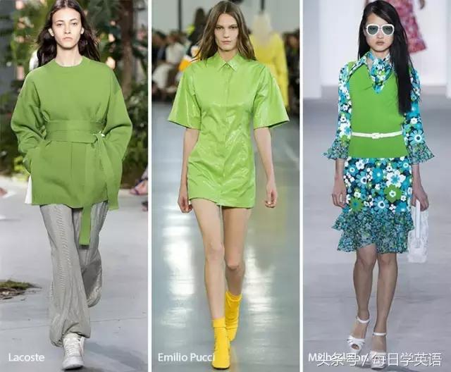 2017年的流行色草木绿,今年流行色薄荷绿