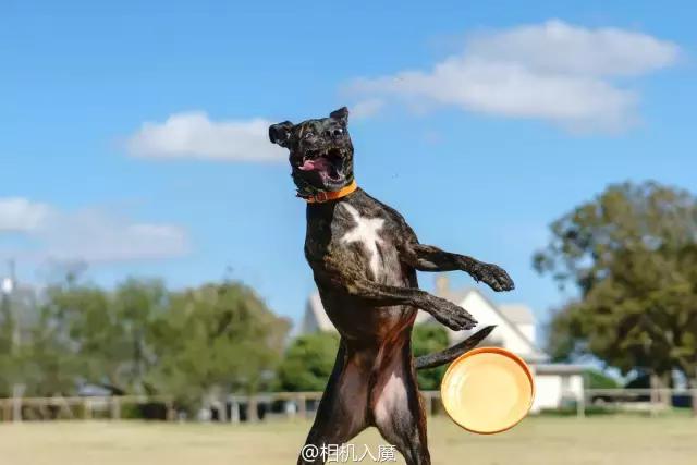 索尼A6500测评,索尼a6500和a6500m