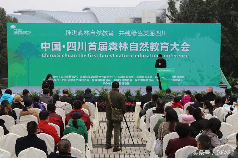 把课堂搬到森林里！去森林趣体验！