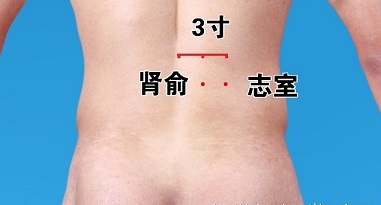 养肾健康第一重要,养肾三大秘法