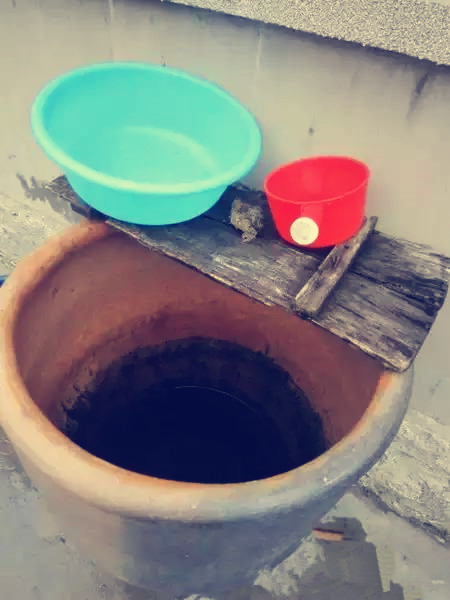 旅游游记到农村01：去看姑婆，农村的小植物治好了我的鼻炎