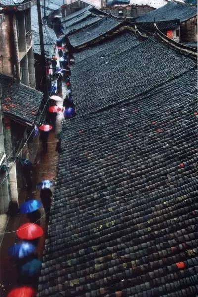 哇！一年后的瓯海瞿溪，竟然美得如此惊艳！