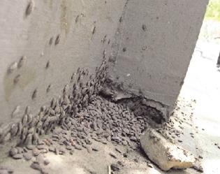 秦藏：在我家老屋下，密密麻麻放了数百口棺材