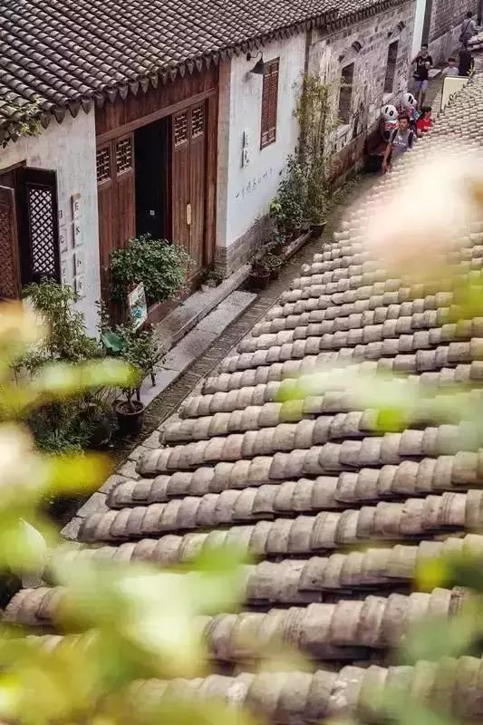 胡守连的“花迹酒店”