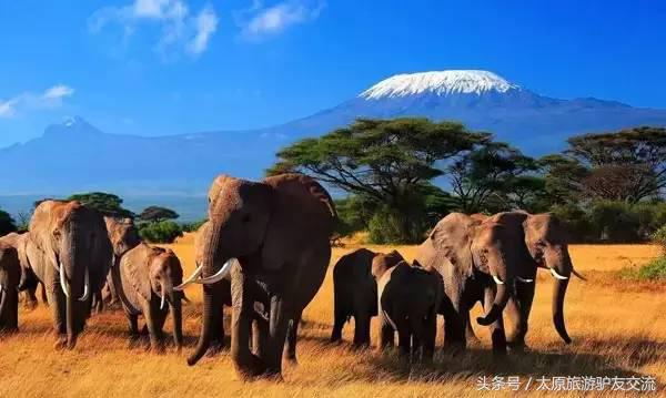 最齐全的各国风俗礼仪！不出国旅行，这些你也要懂！