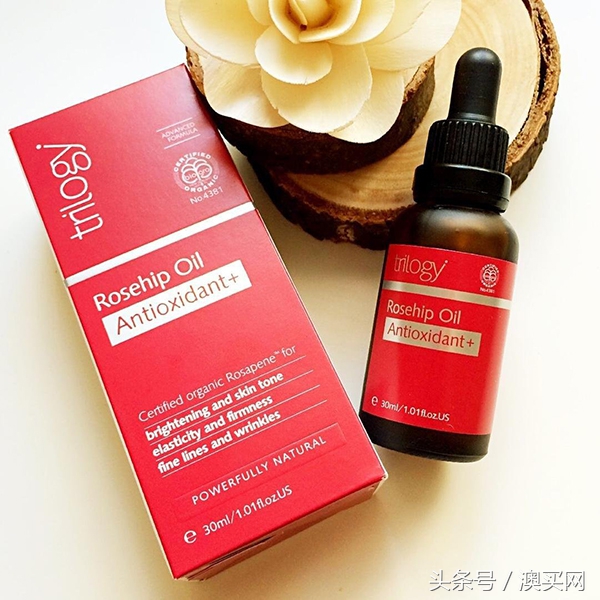 凯特王妃怀孕和威廉出席活动,凯特王妃怀孕出席活动