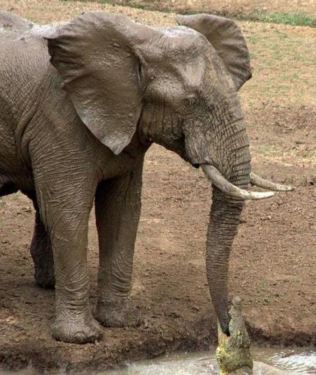 逗逼先僧：讽刺那些老发自拍瞎逼逼的女神，搞笑图片合集22