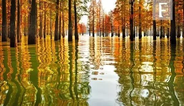 杭州工资收入区间分布,杭州工资查询