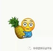 每天都在洗,皮肤这道“城墙”是怎样建成的