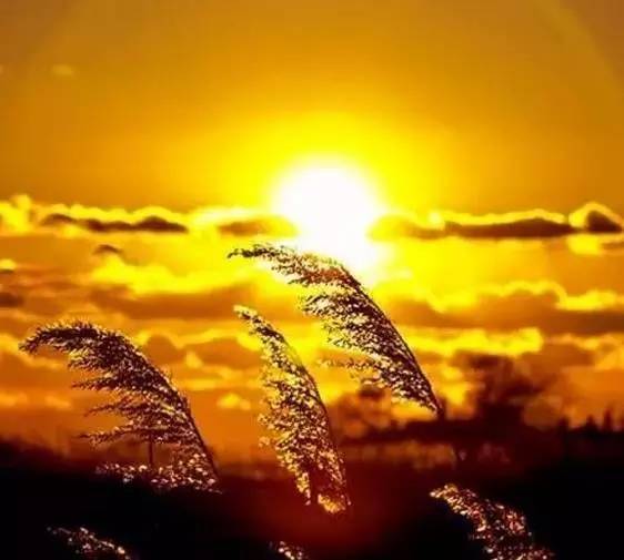 四大智慧都有哪些,流传千年的四大智慧