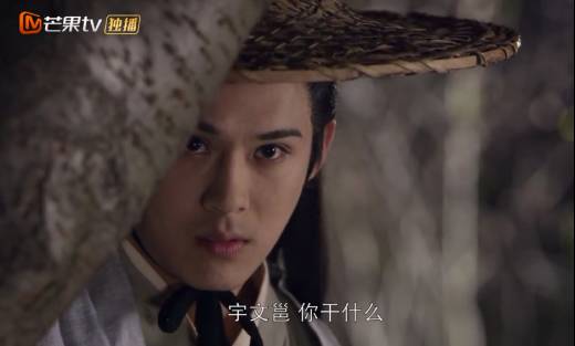 兰陵王宇文邕深情,兰陵王宇文邕情种