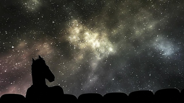 豆瓣日记在线观看,豆瓣日记