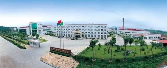 介绍费15万！三人想入职玉林某企业中层岗位，结果神转折……