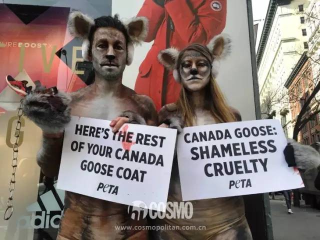 比雪地靴还好的鞋,canadagoose哪款是鹅绒