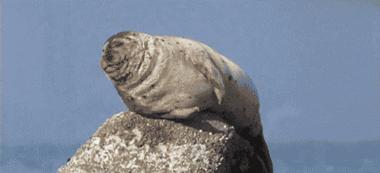 「健康」胃胀、胃酸很难受？专家助你打好健康保“胃”战！