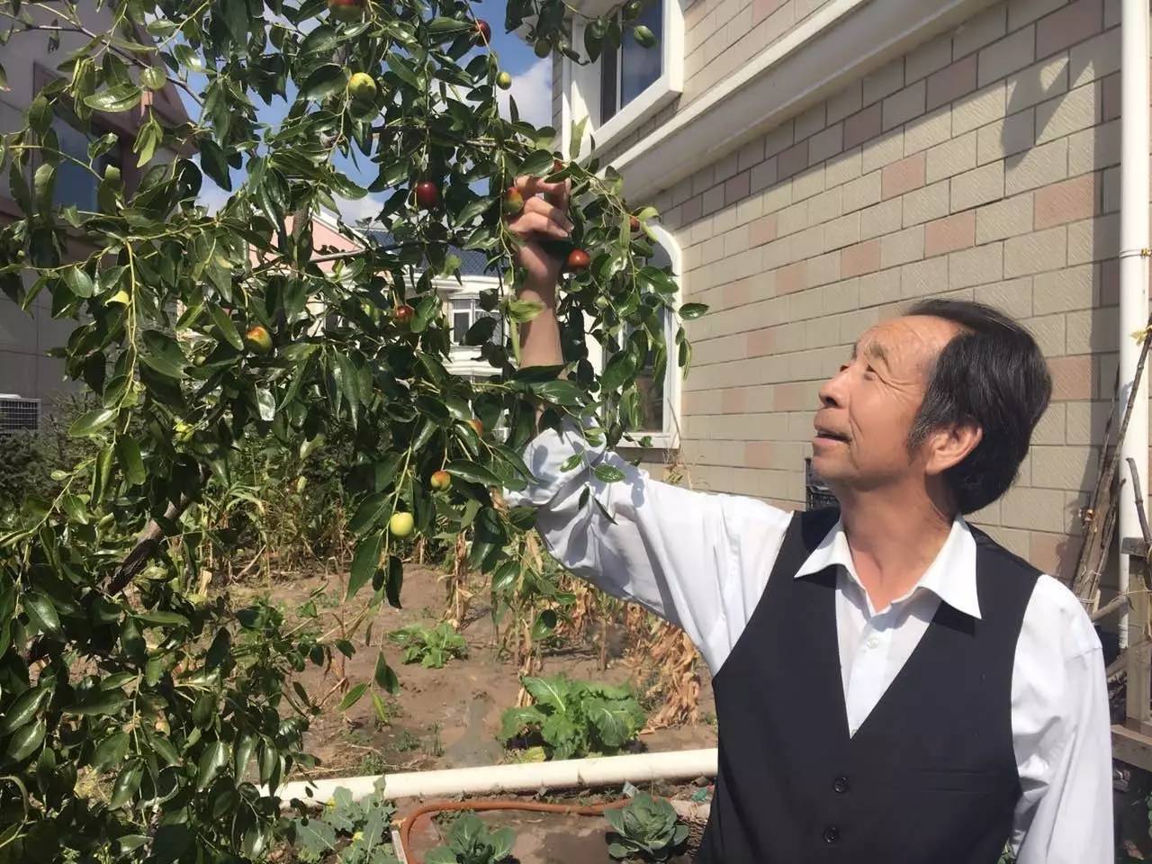 帮父亲贷款负债十万,替人还债4600万