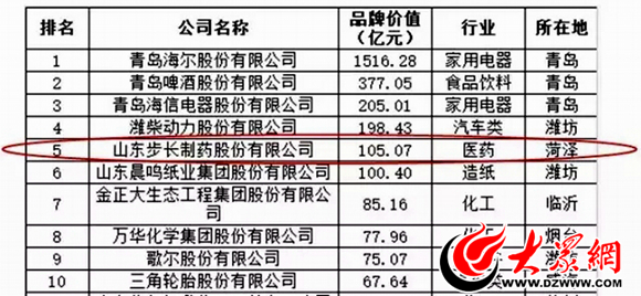 山东100强步长制药,山东菏泽步长制药有限公司