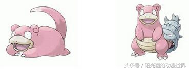 宠物小精灵里面的鹰形小精灵盘点,可以进化多种形态宠物小精灵