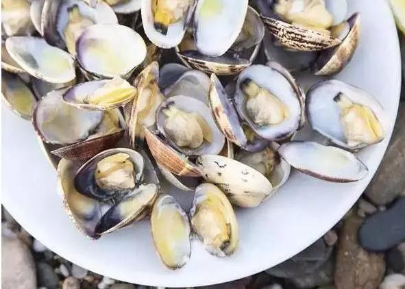 正确的打开方法和技巧,打开你的100种方式