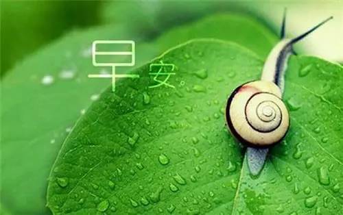 微商早安励志朋友圈高质量句子,微商早安励志语录正能量句子