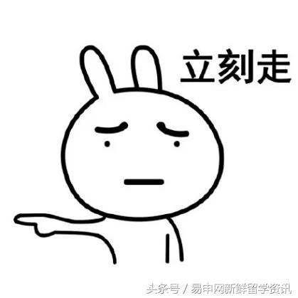 99%留学小白都会踩的9颗雷，中1个就和好大学拜拜了