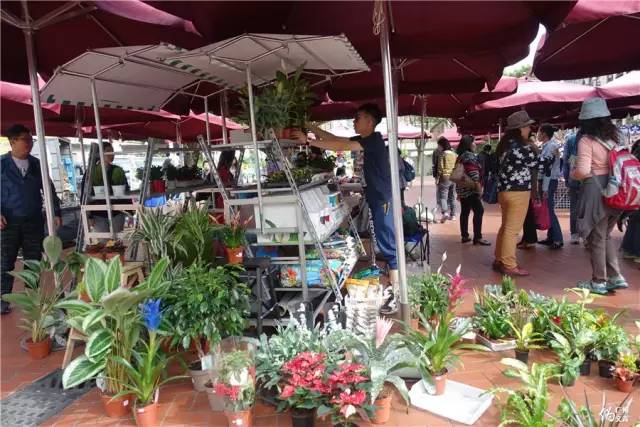 澳门丧走路线|穿街过巷打卡的一天我发现离线地图其实...