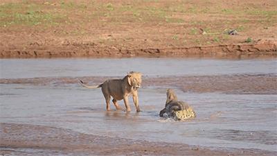 女朋友比手势什么意思,女朋友伸手指是什么意思