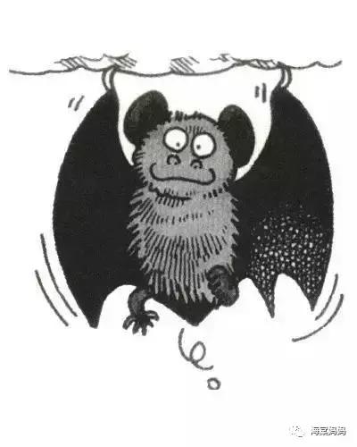 海棠科普丨天啊，居然还有这种排便方式